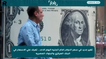 تغير جديد في سعر الدولار أمام الجنيه اليوم الأحد.. تعرف على الأسعار في البنك المركزي والبنوك المصرية